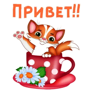 Мульт-приветствия :: @animesticks whatsapp stickers