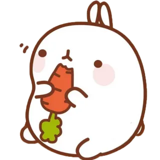 🌽 rabbit, cute, carrot, eating, molang telegram sticker