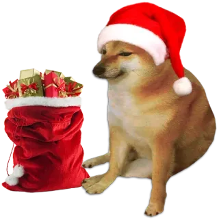 🐶 หมา, Cheems, คริสต์มาส, ซานต้า, วันหยุด, มีม, Doge, ของขวัญ whatsapp sticker