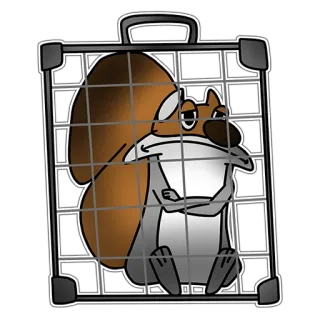 🏠 Eichhörnchen, Käfig, Tier, lustig, Cartoon telegram sticker