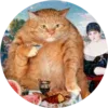 Комьюнити Binance telegram emojis 🐈