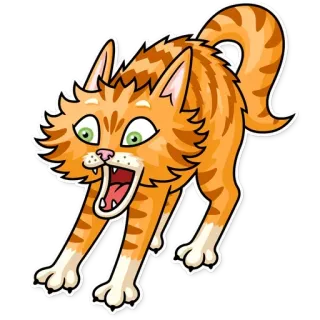 😨 gato, animal, felino, adesivo, gato laranja, desenho animado telegram sticker