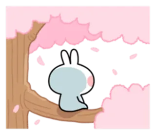 😔 rabbit, cherry blossoms, nature, cute, animal, kawaii, spring telegram sticker