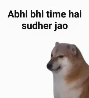 🪄 Cheems Doge meme Abhi bhi time hai sudher jao cheems, doge, meme, advice, warning, funny, dog telegram sticker