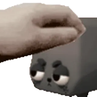🫂