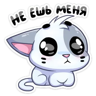 😲 НЕ ЕШЬ МЕНЯ kot, kotek, słodki, błagalny, kreskówka, anime, naklejka whatsapp sticker