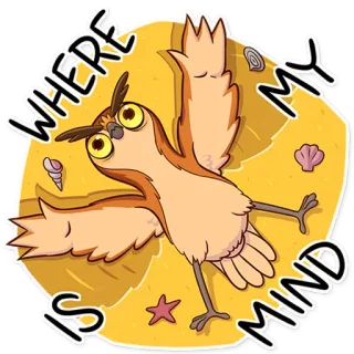 😐 WHERE IS MY MIND burung hantu, pantai, pikiran, hewan, burung, kutipan telegram sticker