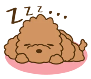 😴 Z-z-z-z... dormindo, cachorro, fofo, poodle, sonolento, desenho animado whatsapp sticker