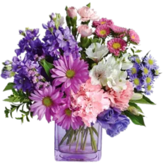 💐 цветы, букет, цветочная композиция, фиолетовый, розовый, белый, ромашки whatsapp sticker