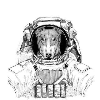 🌌 cane, astronauta, spazio, animale, illustrazione, tuta spaziale, animale domestico telegram sticker
