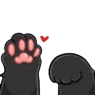 🐾