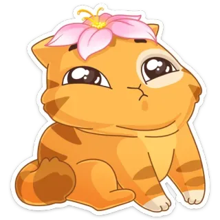 😑 chat, chaton, mignon, animal, fleur, animal de compagnie telegram sticker