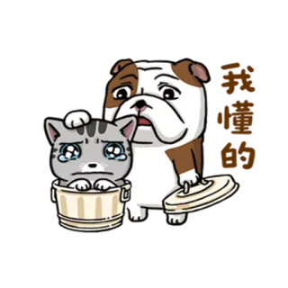 👨 verdrietige kat, verdrietige hond, huilen, emmer, dieren, cartoon telegram sticker