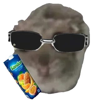 🕶 Hamster Sandora hamster, sunglasses, juice, funny, meme, cool, rodent, pineapple telegram sticker