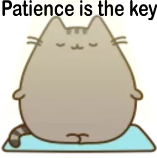 👌 Silence is the gato, meditación, calma, yoga, zen, pacífico, pusheen whatsapp sticker
