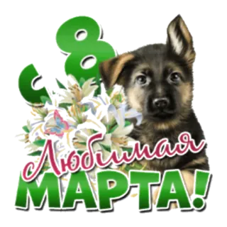 🙂 С 8 Марта! Любимая 犬, 花, 3月8日, 国際女性デー, 祝日, 子犬, 挨拶 telegram sticker