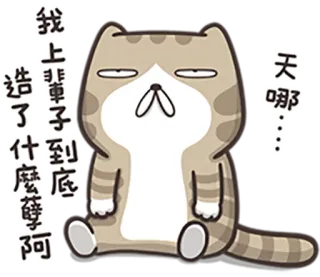 🙄 我上辈子到底造了什么孽啊
天哪 кот, стикер, мультфильм, смешной, китайский telegram sticker