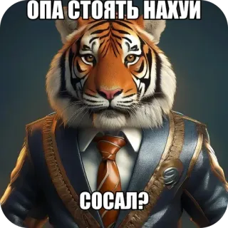 🫥 ОПА СТОЯТЬ НАХУЙ
СОСАЛ? tigre, animal, costume, meme, offensant, jurons telegram sticker