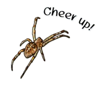 Spiders Time @stickersb2b whatsapp stickers