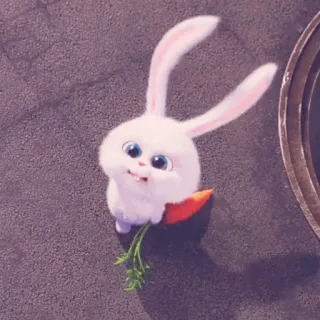 🎟 Snowball The Secret Life of Pets lapin, animal, mignon, animal de compagnie, carotte, animé whatsapp sticker