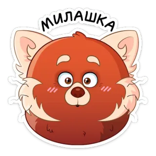 ☺️ МИЛАШКА красная панда, милый, животное, стикер whatsapp sticker