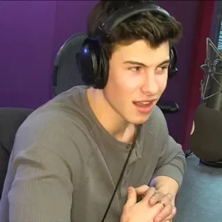 ❓ Shawn Mendes Shawn Mendes, singer, musician, portrait, headshot, artist telegram sticker