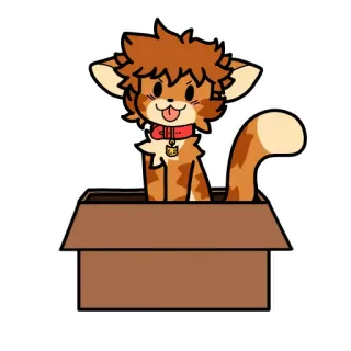 📦 cat telegram sticker