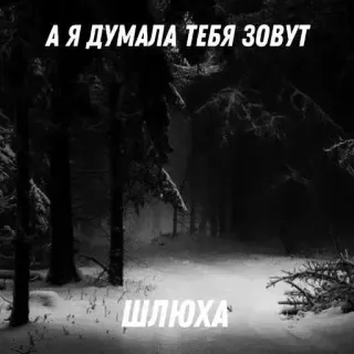 😔 А Я ДУМАЛА ТЕБЯ ЗОВУТ ШЛЮХА Ruso, Bosque, Invierno, Insulto telegram sticker