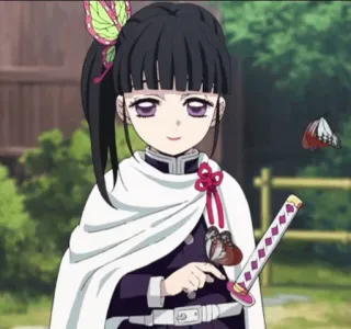 🌸 Kanao Tsuyuri Demon Slayer anime, character, demon slayer, kanao tsuyuri, butterfly, sword telegram sticker