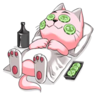 👱 猫, スパ, キュウリ, リラックス, 動物, かわいい, ウェルネス, 美容 telegram sticker