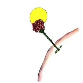 👑 flor, sol, arte, naturaleza telegram sticker