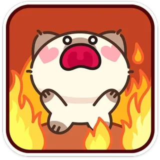 🐱 Katze, Cartoon, Feuer, niedlich, Emotion, schockiert, Tier telegram sticker