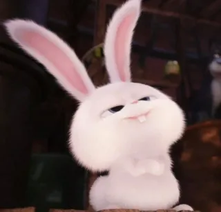 🐰 Snowball The Secret Life of Pets coelho, coelhinho, branco, fofo, animal, animal de estimação whatsapp sticker