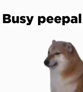 🎭 Busy peepal 도지, 밈, 개, 바쁜 telegram sticker