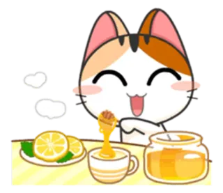 😋 gato, miel, limón, té, lindo, dibujos animados, comida, bebida telegram sticker