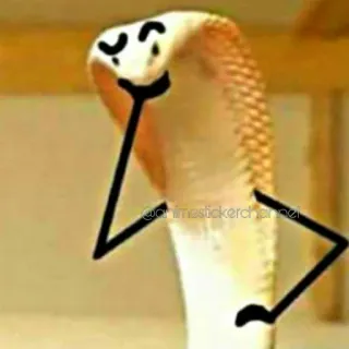 🤔 Schlange, Kobra, Tier, Cartoon, Meme whatsapp sticker