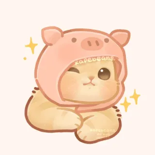 ✨ kapebeans gato, porco, fofo, kawaii, animal, animal de estimação telegram sticker