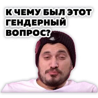 ❓ К ЧЕМУ БЫЛ ЭТОТ ГЕНДЕРНЫЙ ВОПРОС? telegram sticker