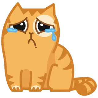 😢 cat, sad, crying, tearful, orange telegram sticker