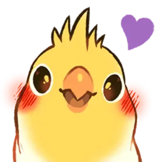💜 pássaro, calopsita, fofo, animal de estimação, animal, coração roxo telegram sticker