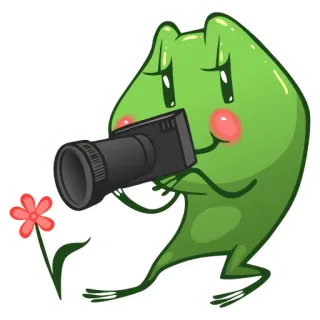 🥀 rã, flor, câmera, fofo, desenho animado, adesivo telegram sticker