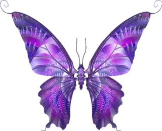 🎀 vlinder, paars, insecten, natuur, vleugels telegram sticker