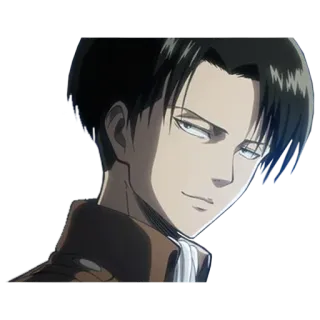 😒 Levi Ackerman Attack on Titan Levi Ackerman, Ataque a los Titanes, Anime, Personaje, Retrato telegram sticker