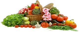 🍓 verduras, frutas, fresco, saludable, comida, jardín telegram sticker