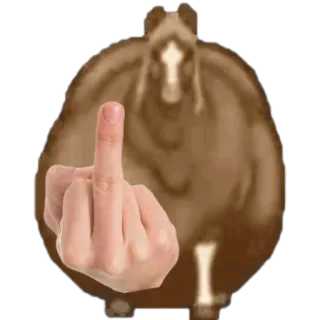 Больше стиков тут: @stikery4 whatsapp stickers