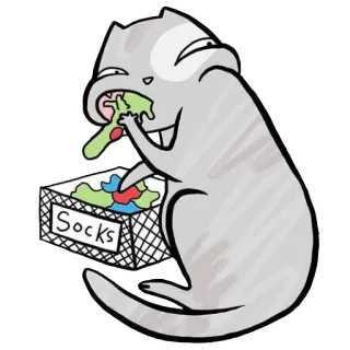 🎀 Socks gatto, calzini, animale, divertente, animale domestico, cartone animato telegram sticker