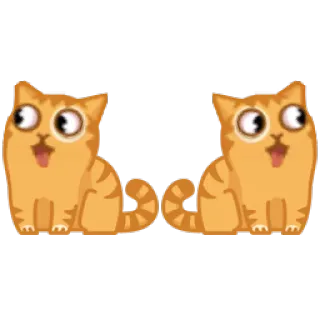 👀 gatto, gattino, arancione, animale, animale domestico, carino whatsapp sticker