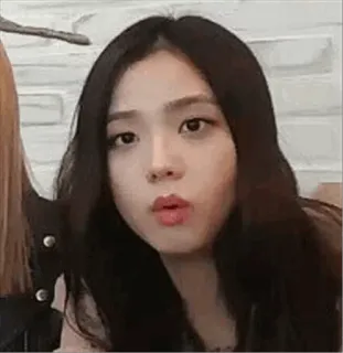 ✨ Jisoo kpop, 지수, 블랙핑크, 가수, 연예인, 여자 telegram sticker
