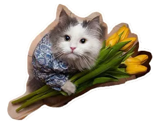 🌻 แมว, ลูกแมว, ทิวลิป, ดอกไม้, สัตว์, น่ารัก, สัตว์เลี้ยง telegram sticker