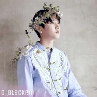 ✨ D_BLACKRIN Mann, Person, Blumenkranz, Porträt, jung, Jugend, K-Pop telegram sticker